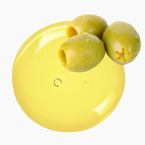 Squalane ingredient — used in Repair & Release Cream